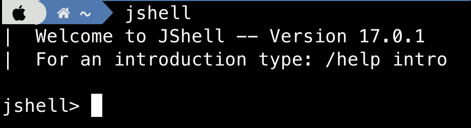 Figure 2.10 JShell interface.